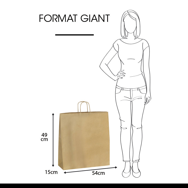 Sac boutique|kraft brun|poignées torsadées|54+15x49cm|par 120