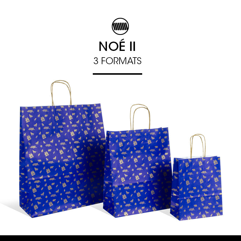 Sac Noe II | kraft blanc | poignées torsadées | 35+14x41cm | par 250