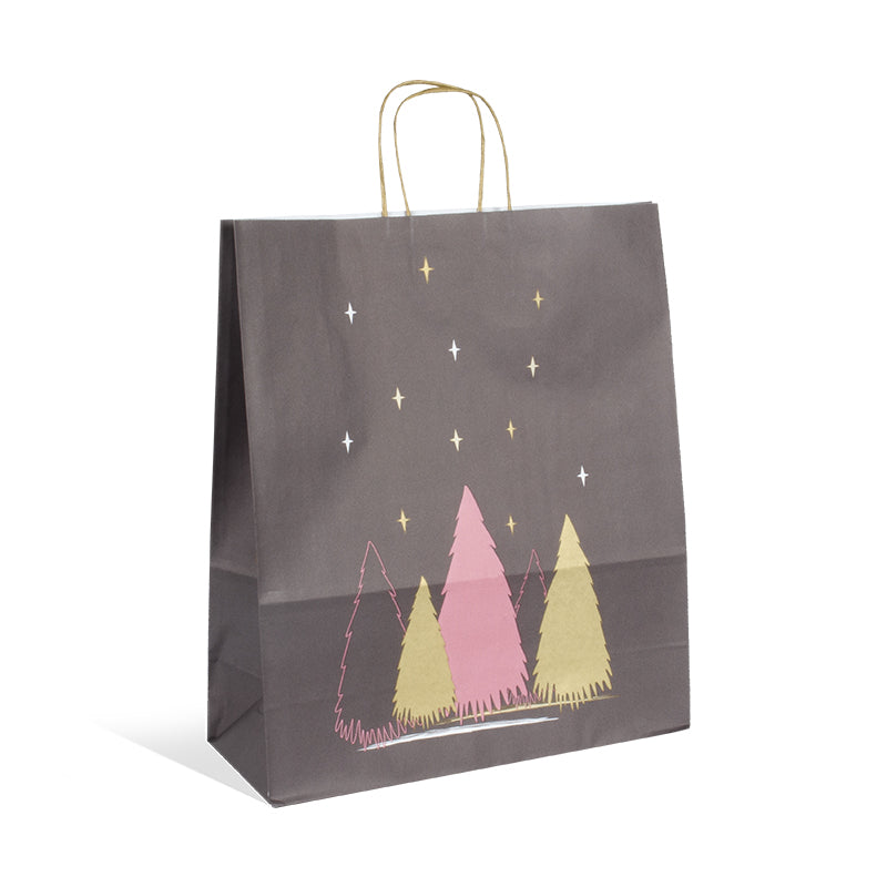 Sac Narnia | kraft blanc | poignées torsadées | 35+14x41cm | par 250