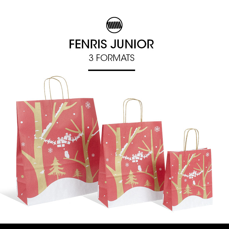Sac Fenris Junior | kraft blanc | poignées torsadées | 26+12x32cm | par 250
