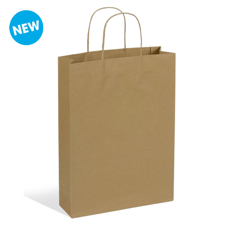 Sac 3 bouteilles kraft brun poignées torsadées 27+9x38cm par 100