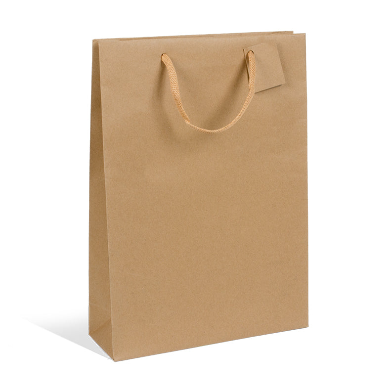 Sac 3 bouteilles|kraft brun|poignées papier|27+9x38cm|par 100