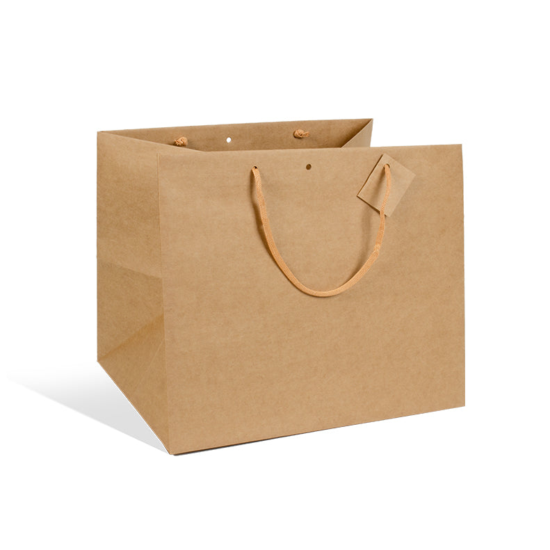 Luxury Catering Bag|Brown Kraft|Paper Handles|38+31x32cm|Pack of 50