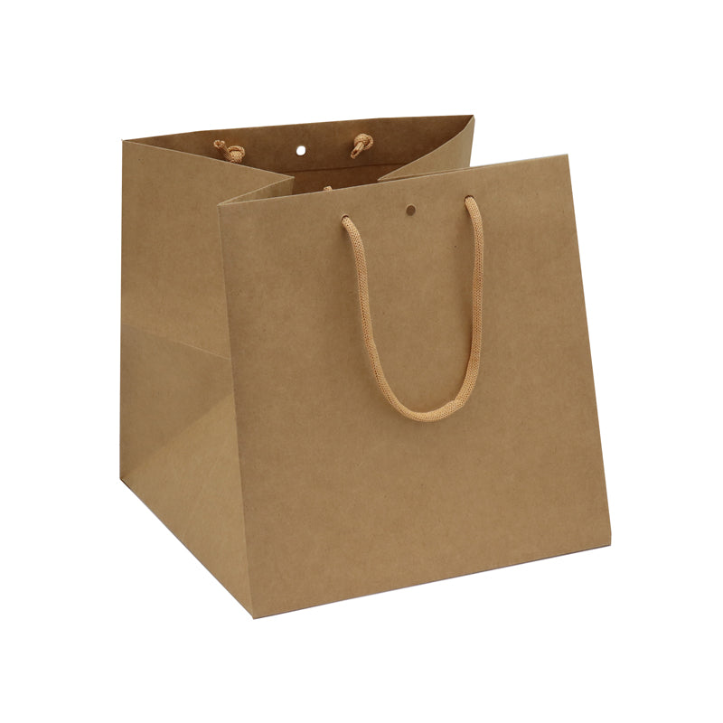 Sac luxe Grand Cube | kraft brun | poignées papier | 26+26x26cm | par 120