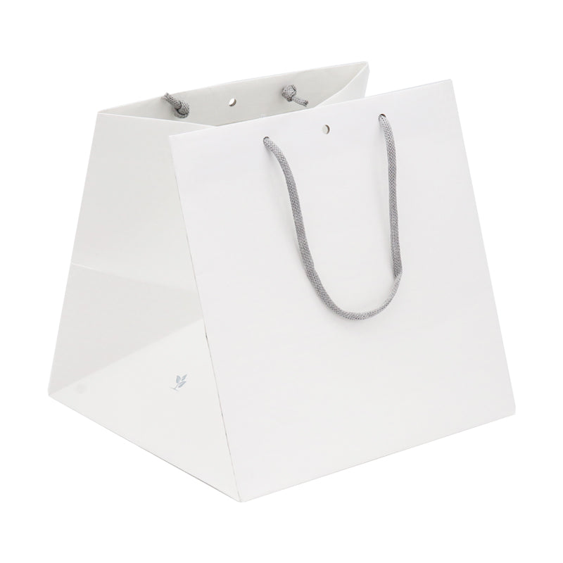 Sac boutique Grand Cube Lupuna | poignées papier | 26+26x26cm | par 120