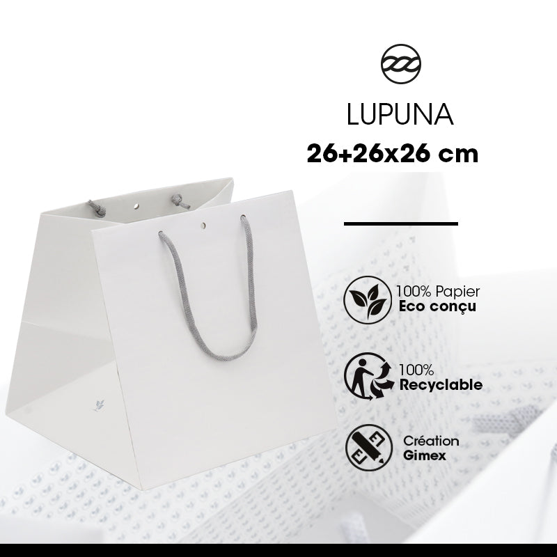 Lupuna Large Cube Boutique Bag | Paper Handles | 26+26x26cm | Pack of 120